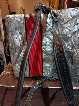 Acordeon Delicia Junior IV - 4