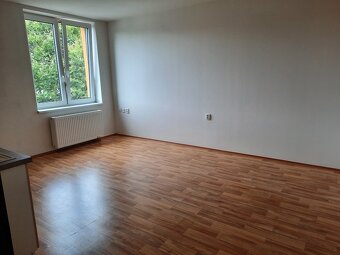 Pronájem bezbariérového bytu 1+kk 30 m² Ryžoviště, okres Bru - 4