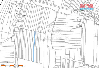 Prodej lesa, 6005 m², Dražíč - 4