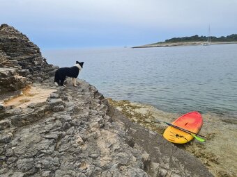Paddleboard pevný - 4
