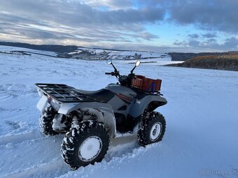 Yamaha Grizzly 700 - 4