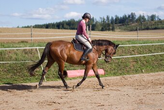 mladá klisna parťák do rodiny - 4