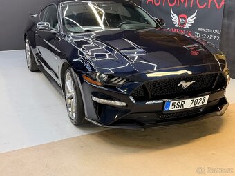 Mustang - 4