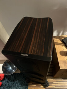 Monitor Audio Platinum PL300 II ( Price: 3500 EUR ) - 4