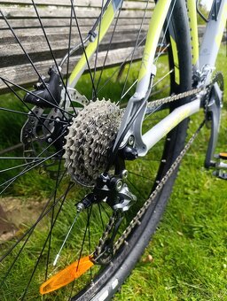 Kellys spider 70 - 4