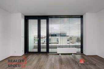 Pronájem, byty/1+kk, 44 m2, Železná 3061/10, Jižní Předměstí - 4
