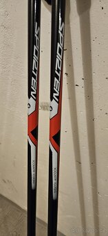 Běžky 180 cm se šupinou a hulky 140cm - 4