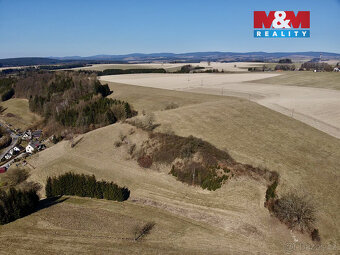 Prodej louky, 15081 m², Rybná nad Zdobnicí - 4