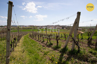 Pozemek pro rodinné vinařství s vinicemi na dvou par, 132041 - 4
