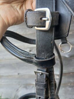 Lonzovaci uzdecka s pevnym chambonem - 4