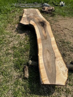 Rizikové kácení-frézování pařezů-pořez kulatiny. - 4