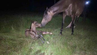 Plavák po Candarco - 4