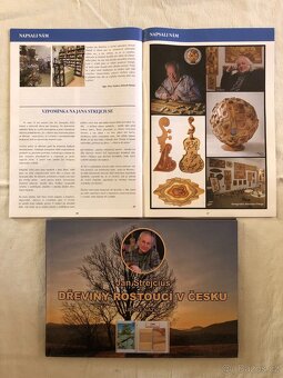 Madona + Talisman - 4