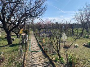 Břeclav - Prodej hezké zahrady se zděnou chatkou na okraji m - 4