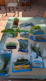 Prodám terarijní a akvarijni potřeby - 4