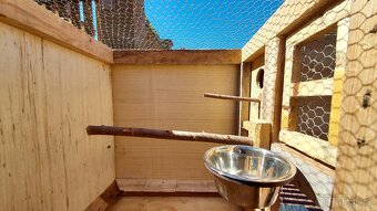 Bednove klece - 4