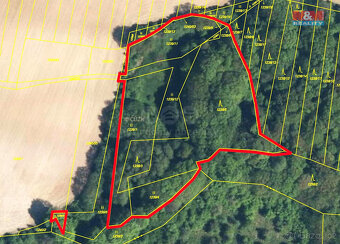 Prodej lesa, 9823 m², Lhota u Zlína - 4