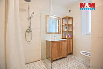 Pronájem bytu 3+kk, 120 m², Mladá Boleslav, ul. Galetova - 4