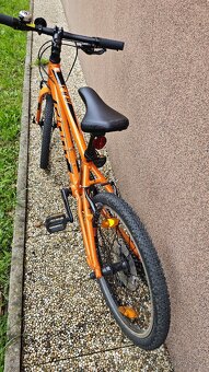 Giant ARX 20" - 4
