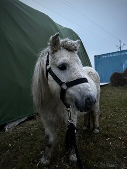 Pony pro děti - 4
