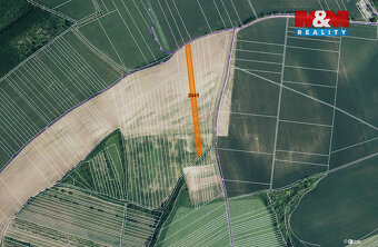 Prodej pole, 719 m², Stavěšice - 4