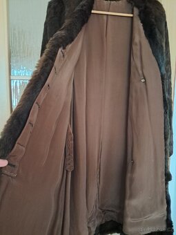 Kabat -krasný kožich - 4