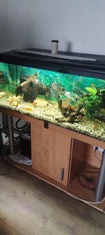 Akvarium - 4
