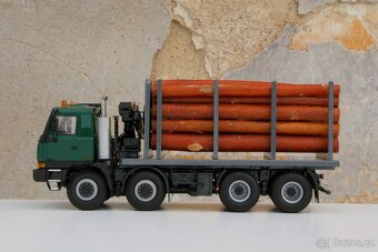 TATRA TERRNo.1 T815 8x8 lesovůz - KADEN 1:43 - 4