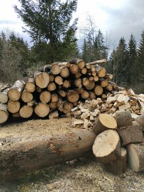 Palivové dřevo - Měkké suché - 4