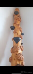 Dekorativní dřevěná .přírodní lakované dřevo pro dekoraci - 4
