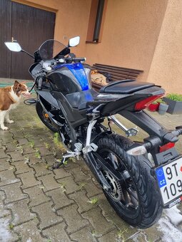 Yamaha yzf R125 - 4