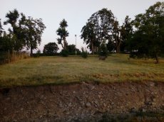 pronajmu zahradu mladějovice u šternberka - 4