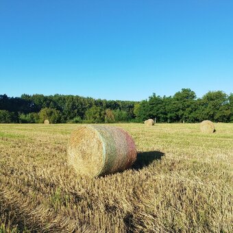 Prodám kulaté balíky pšeničné slámy - 4