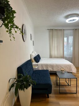 DVOULOŽNICOVÝ BYT V CENTRU PRAHY - 4