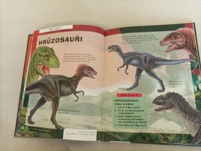 Svět dinosaurů 3D + puzzle - 4