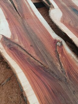 Fošny z červeného Jilmu - 4