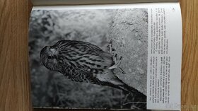 Kniha Seznámení u vody - 4