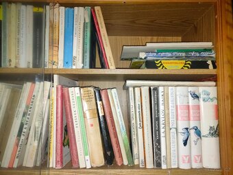 Knihy pro děti a mládež - 4