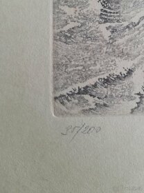 Grafika Josef Dudek Elegie - 4