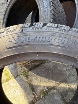 Kormoran Snow - 4