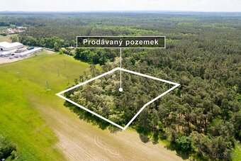 Prodej lesa 6233 m2 - 4
