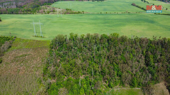 Prodej lesa, 5846 m², Vráž - 4