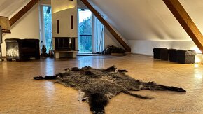 Prodej, podkrovní byt s terasou + hala, 60m2 + 100m2 + 100m2 - 4