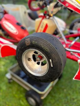 Motokára Birel Art Easykart 60cc - 4