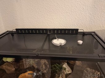 Terárium ReptiPlanet vybavené. - 4