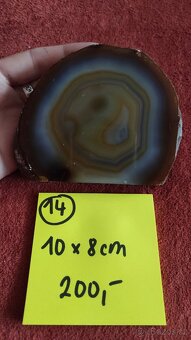 Acháty z Brazílie - 4