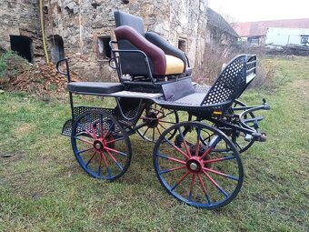 Maratoňák - jednospřeží, pony , koně - 4