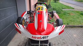 Dětská závodní motokára easykart 60 ccm Birel Art - 4