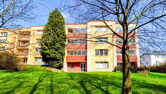 Prodej družstevního bytu 1+kk, Orlová – Lutyně, ulice Osvobo - 4
