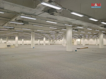 Pronájem obchod a služby, 2 013 m², Děčín, ul. Plzeňská - 4
